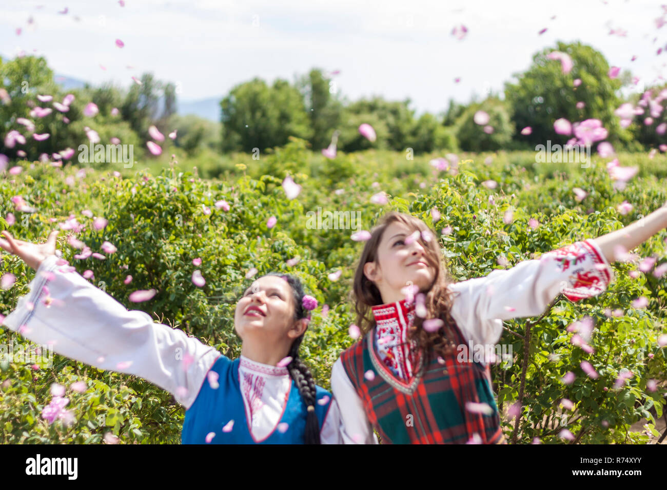 Bravo Throwing Roses ROZOVO, BULGARIA - JUNE 06, 2015 - Rose picking ritual in Rozovo ...