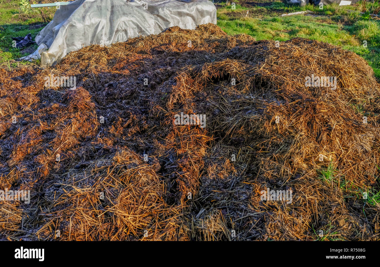 Closeup Shot Of A Manure Heap In The Garden Taken In Winter On A