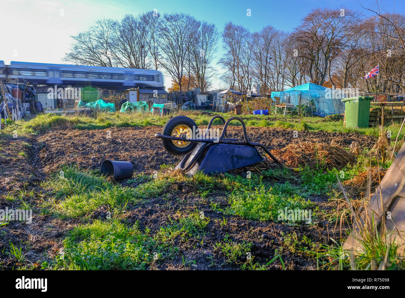 Urban allotment with overground train in the background.  Taken on a bright sunny winter morning and features a black wheelbarrow. Stock Photo