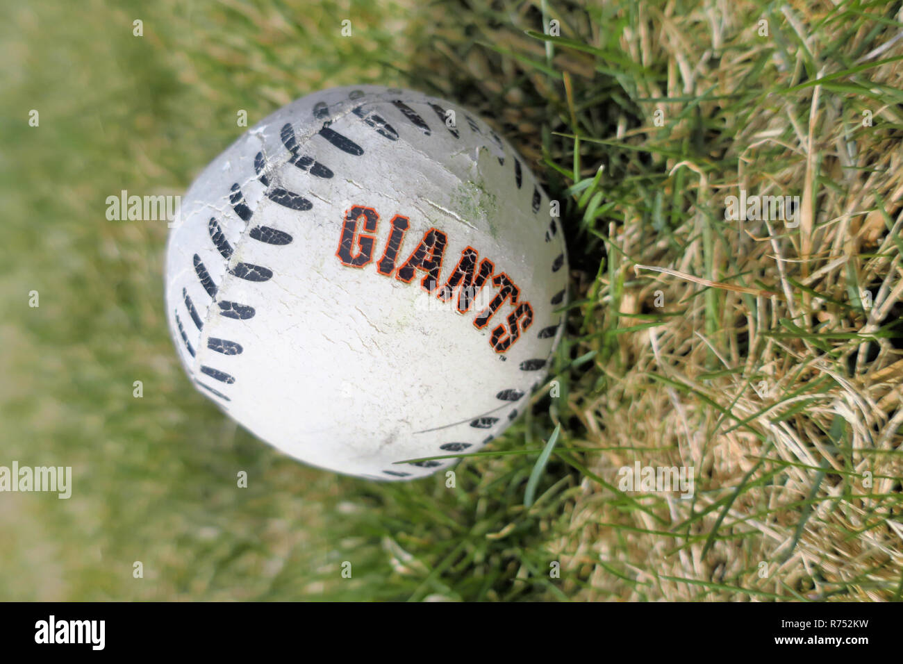 A san franciso giants baseball lying in the grass. Stock Photo