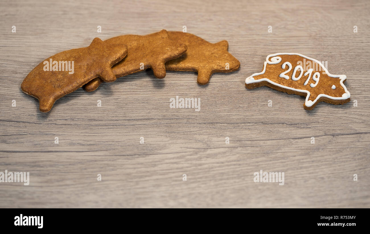 New Year piggy for good luck from Xmas gingerbread cookie. Cute golden pig shaped sweets decorated by icing. On wood background. For happiness in 2019. Stock Photo