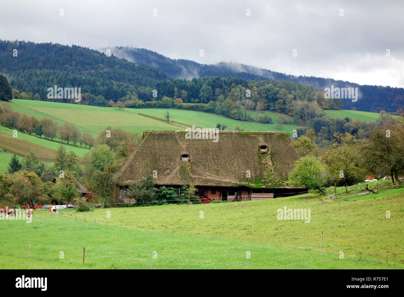 farm in the black forest Stock Photo