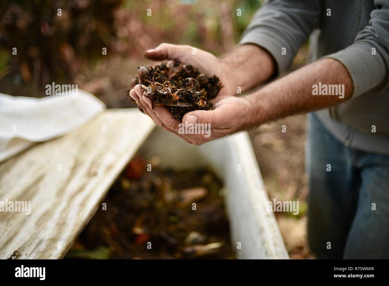 Compost worms hires stock photography and images Alamy