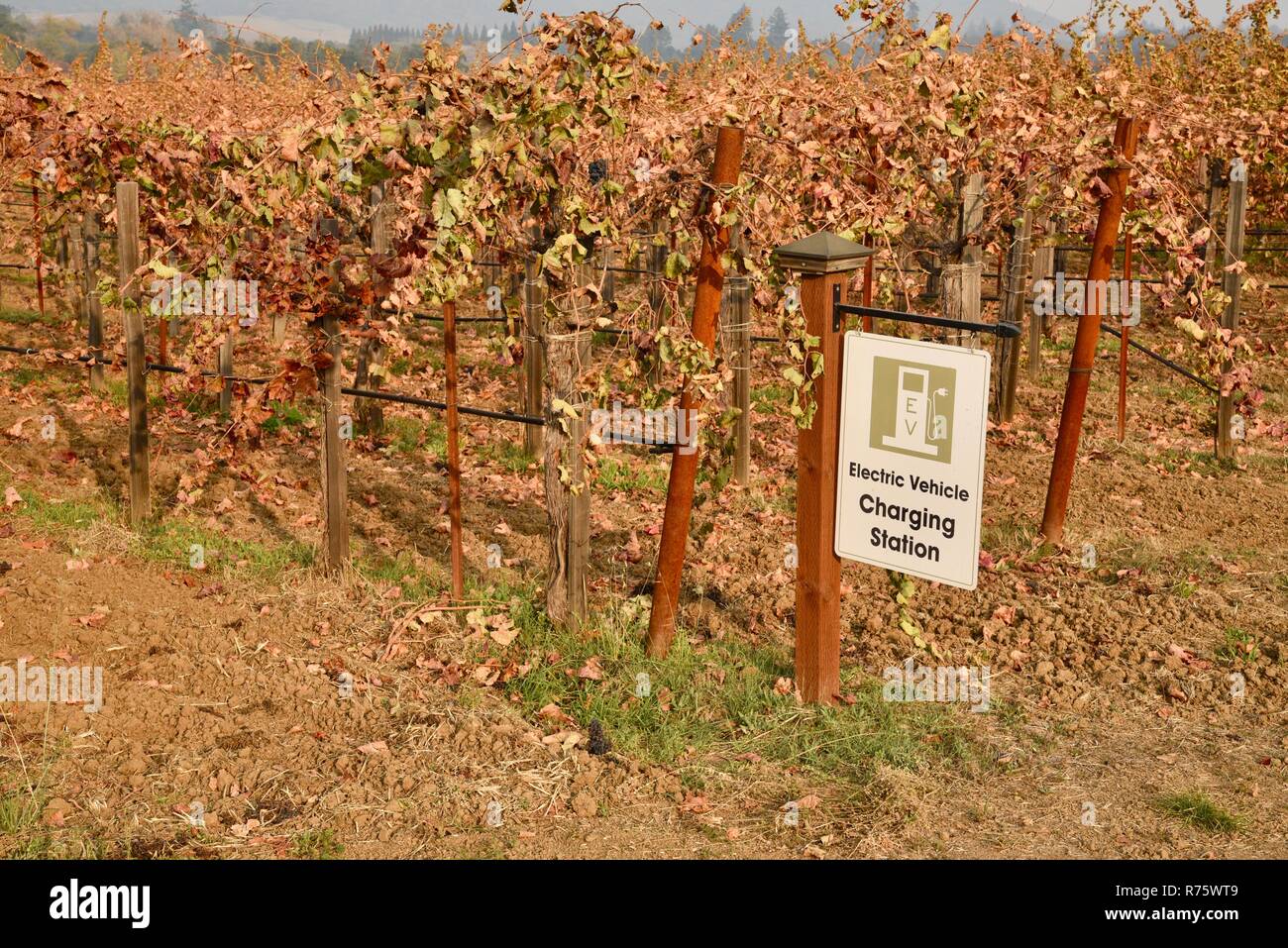 Sign for Electric Vehicle Charging Station with EV parking spaces, in vineyard along road to Quivira Vineyards, Healdsburg, CA, USA Stock Photo