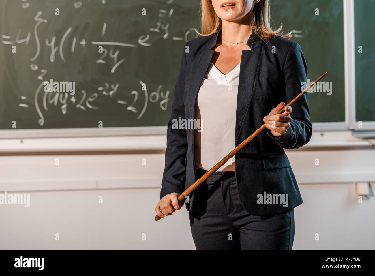 partial view of female teacher in formal wear with wooden pointer  explaining mathematical equations in classroom Stock Photo - Alamy