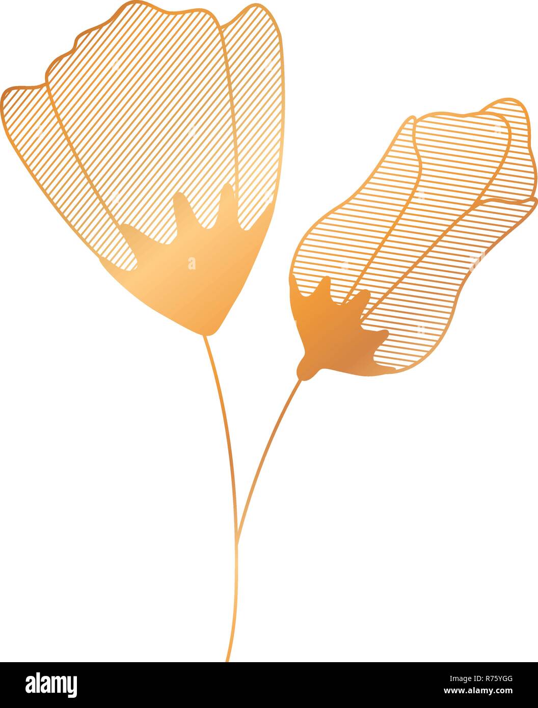 flower with sepal isolated icon Stock Vector