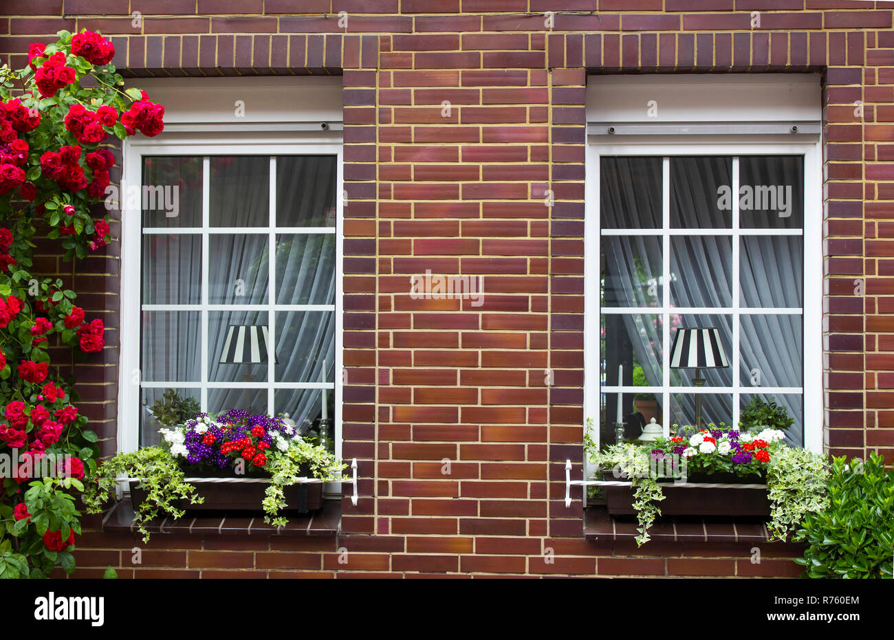 brick wall with windows and flower boxes with flowering plants Stock Photo