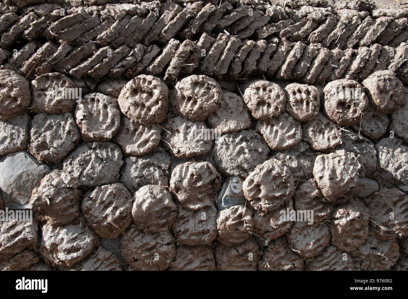 Yak dung patties stacked in readiness for use as fuel in a rural village,  Tibet, China Stock Photo - Alamy