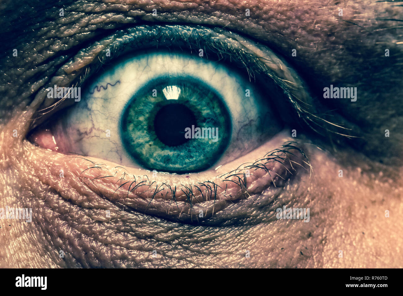 Closeup of a human eye (Macro Stock Photo - Alamy