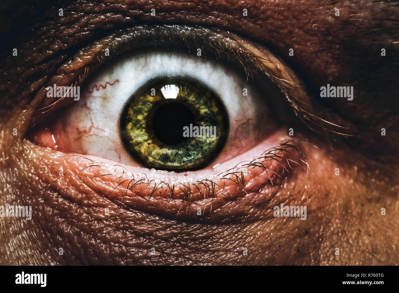 Closeup of a human eye (Macro Stock Photo - Alamy