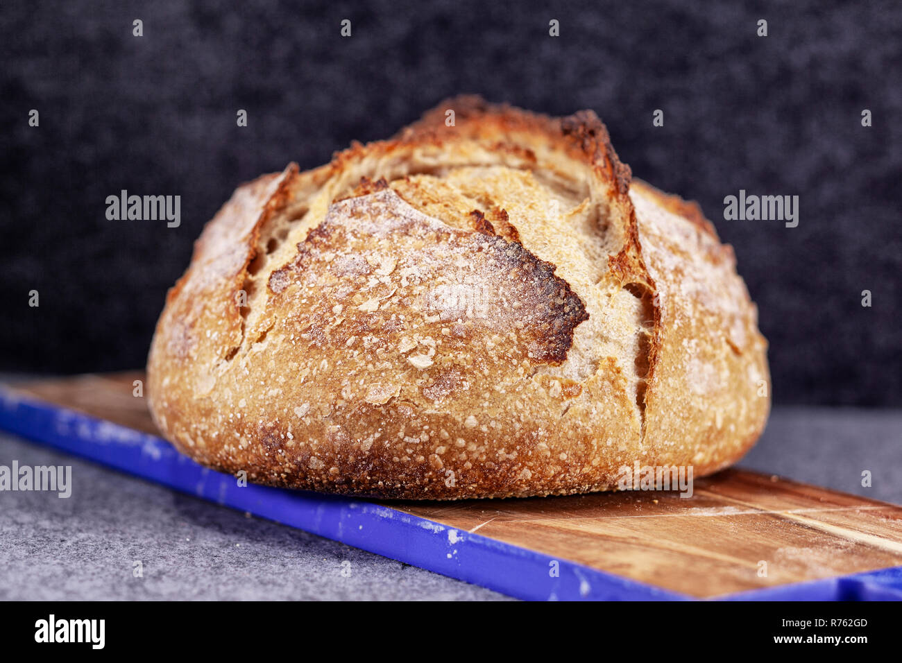 Artisan loaf of traditional Homemade sourdough Boule bread with crust