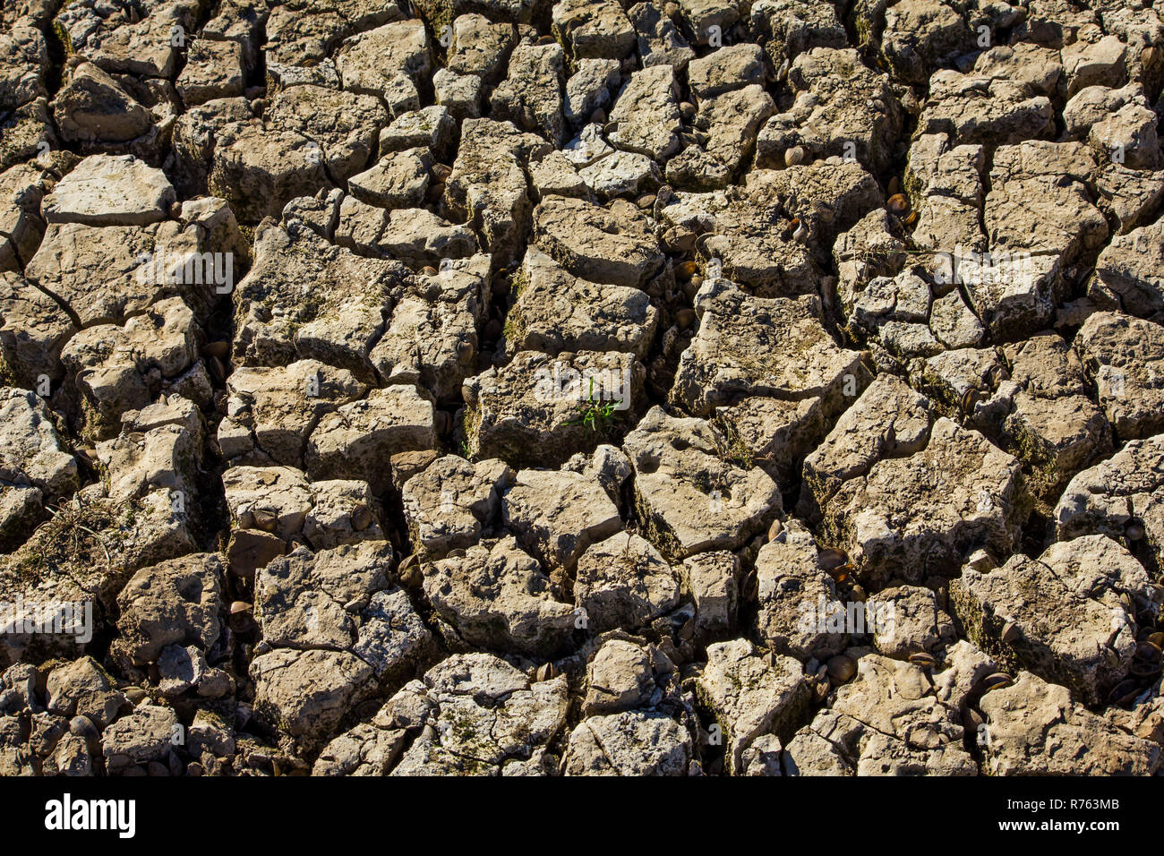 Dried land fissure hi-res stock photography and images - Alamy