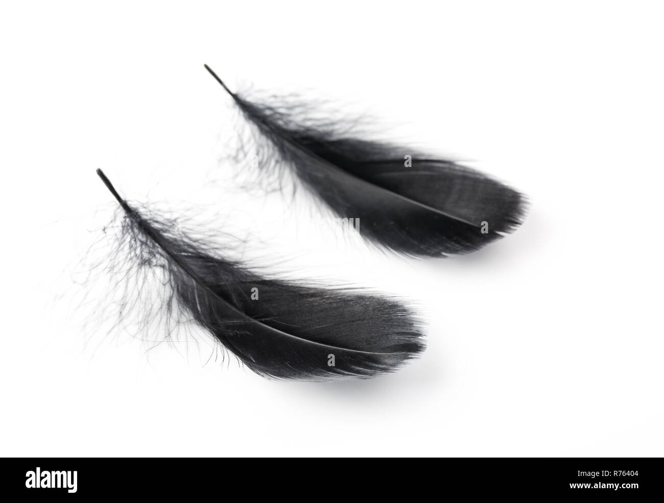 Black feathers over white background Stock Photo - Alamy