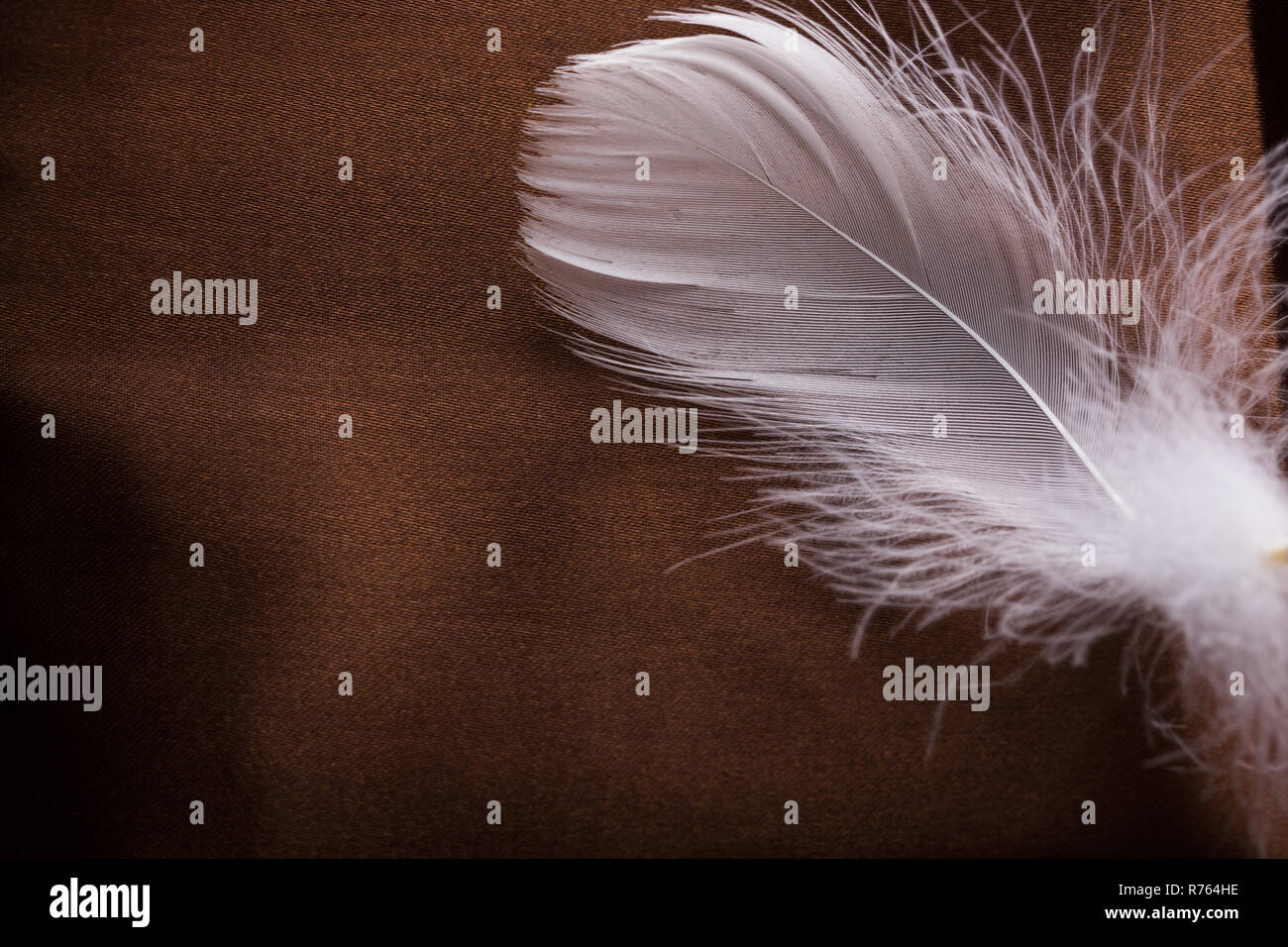 White feathers on brown cloth. Closeup Stock Photo