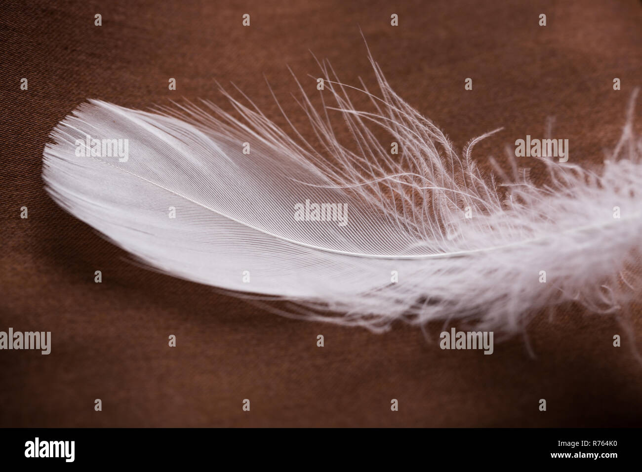 White feathers on brown cloth. Closeup Stock Photo