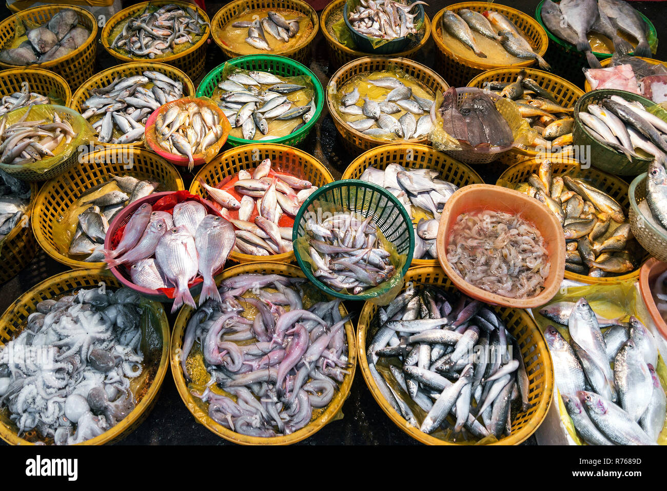 fresh fish and seafood market stall display in xiamen china Stock