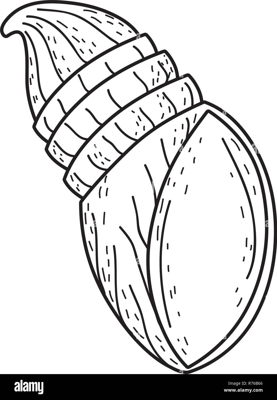 cute snail shell icon Stock Vector Image & Art Alamy