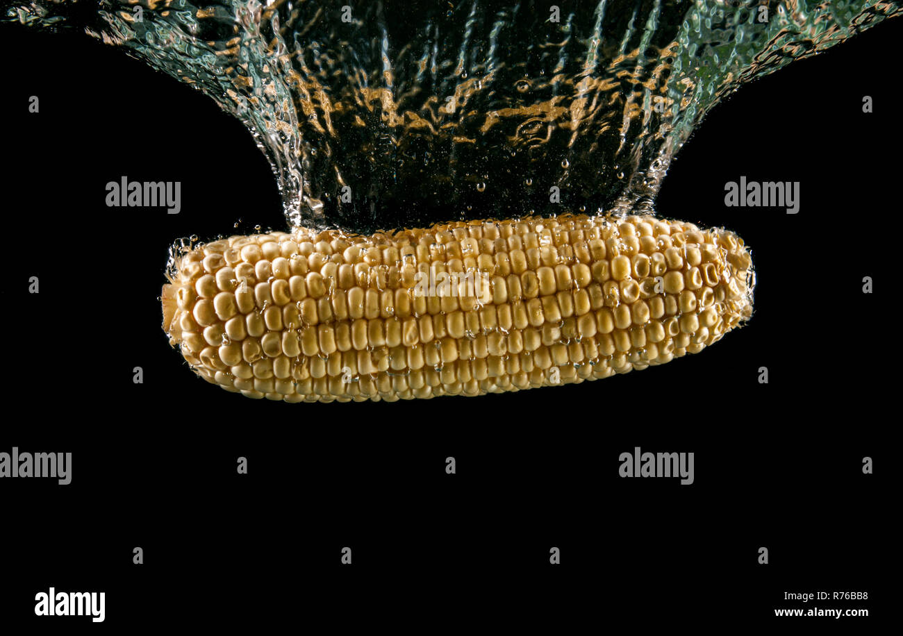 Corn on the cob sinking underwater Stock Photo Alamy