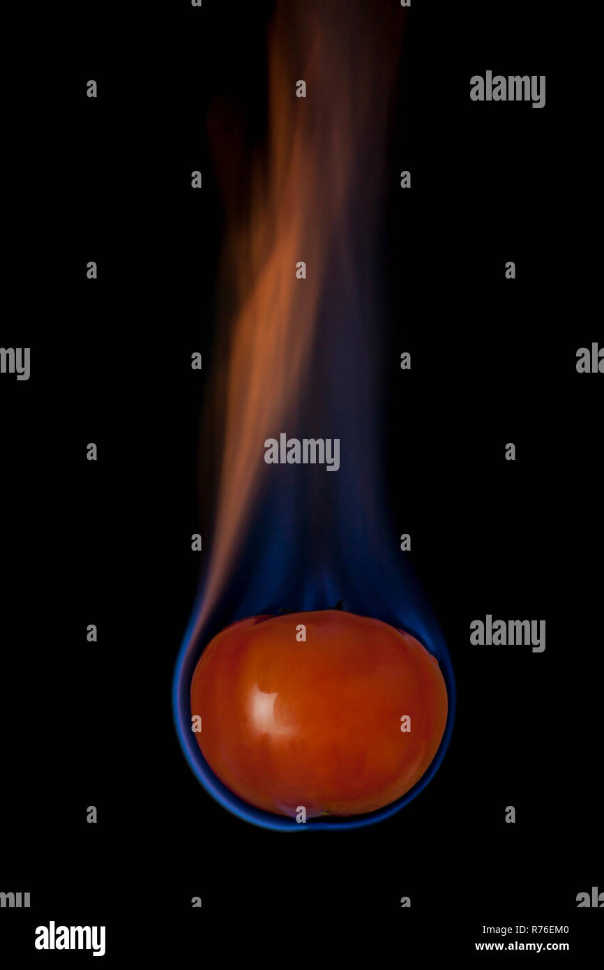 Tomato on fire with blue flames isolated on black background Stock