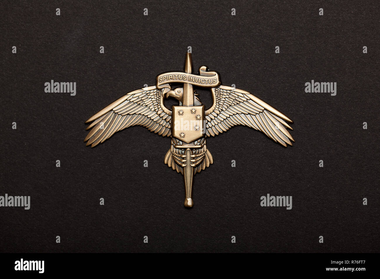 The Marine Special Operator Insignia for Marine Special Operations aka Raiders Stock Photo