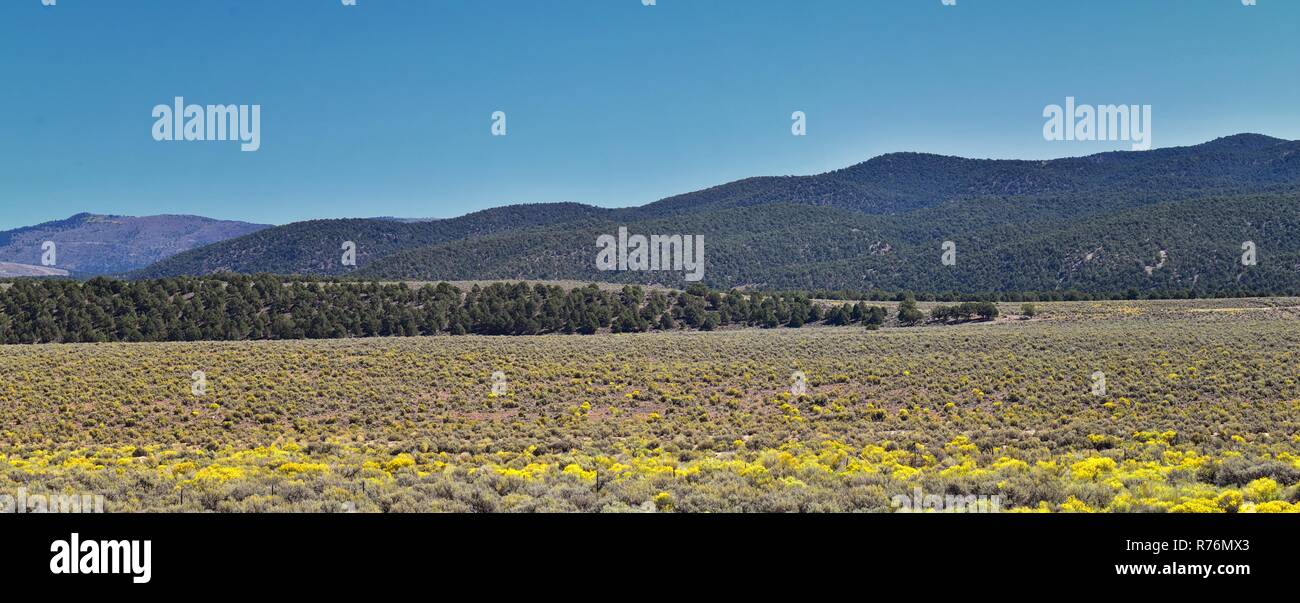 Utah Rocky Mountain Wasatch Panoramic Landscapes by Fishlake National
