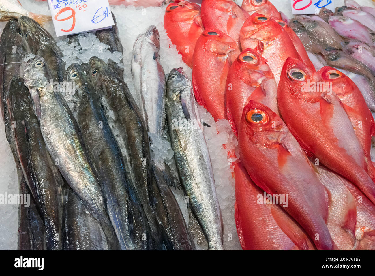 Alphonso Fish Alfonsino fish hi-res stock photography and images - Alamy