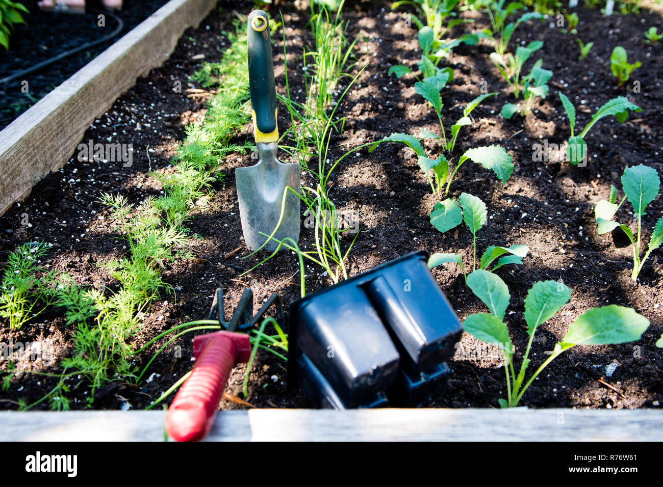 Small piece of land hires stock photography and images Alamy