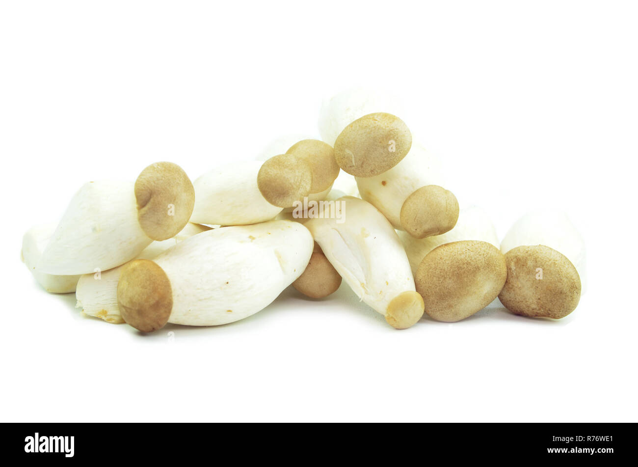 Organic baby king oyster mushrooms Stock Photo Alamy