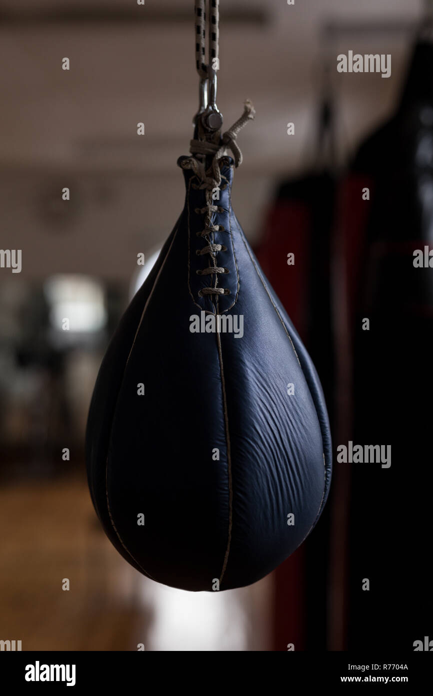 Punching bag hanging in fitness studio Stock Photo Alamy