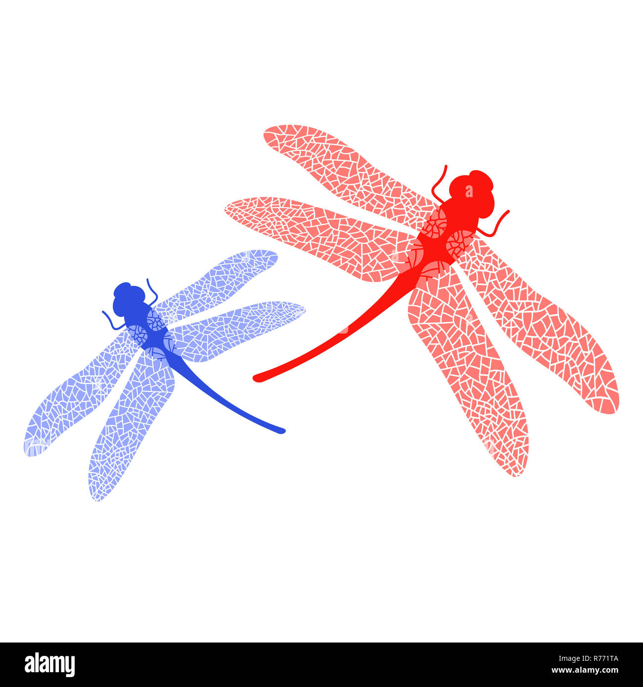 Colored Stilized Dragonfly. Insect Logo Design. Aeschna Viridls Stock Photo