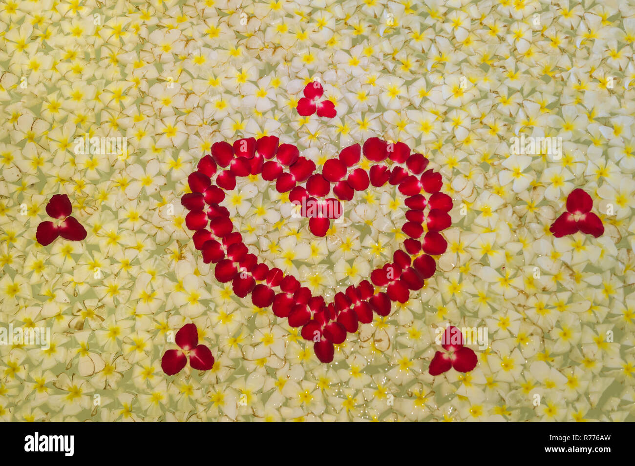 Bathtub covered with flower petals, Ubud, Bali, Indonesia Stock Photo