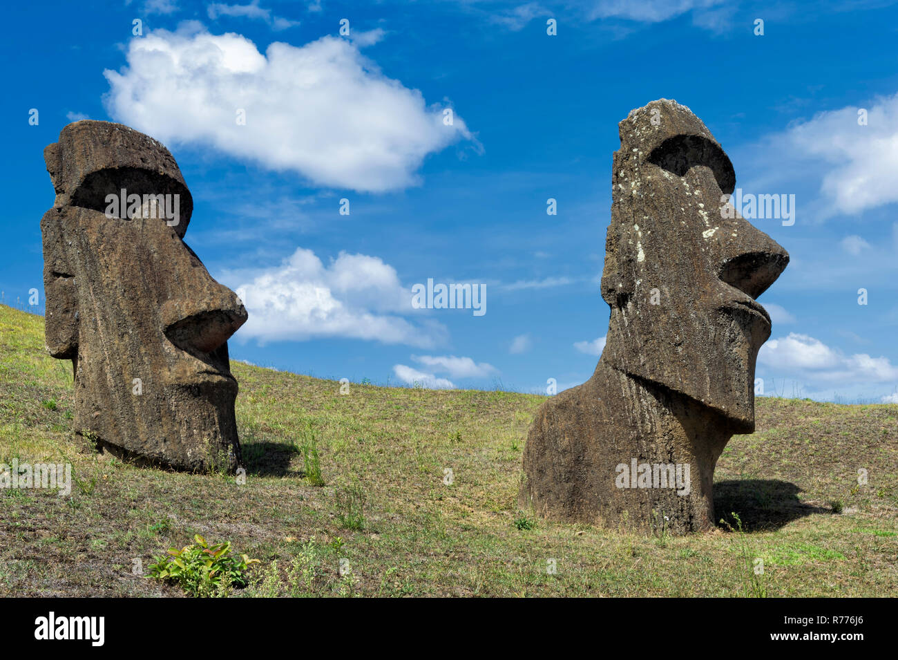 Moai statue Cut Out Stock Images & Pictures - Page 2 - Alamy