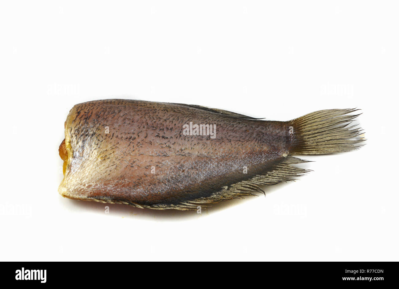 sun dried fish / trichogaster pectoralis fish dried with spawn isolated on white background Stock Photo