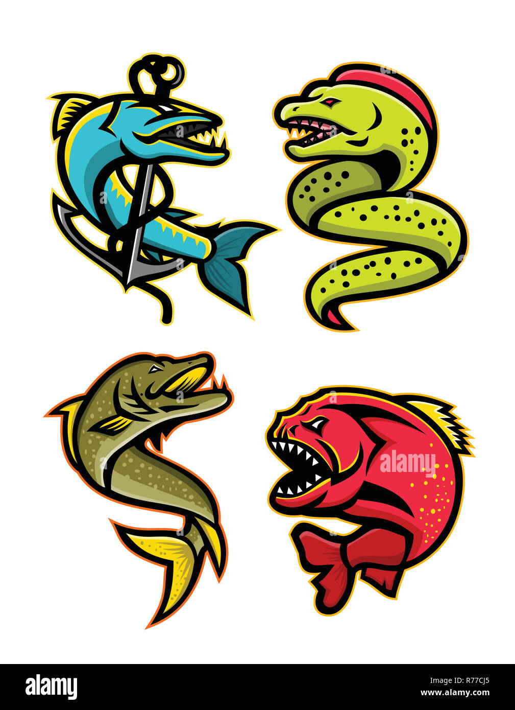 28+ Cartoon Barracuda Fish PNG