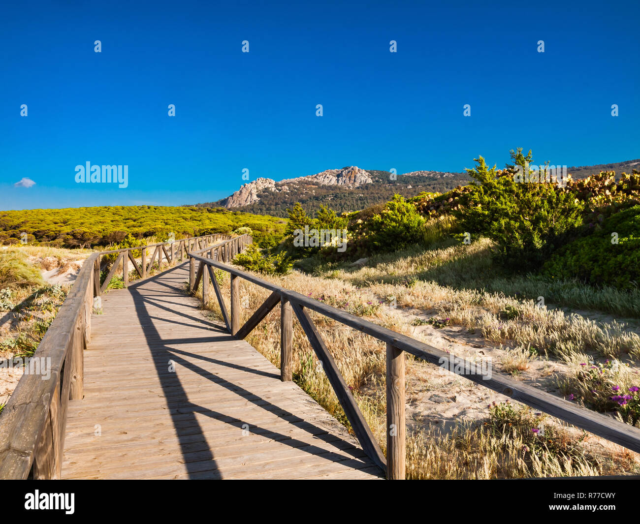 Land scape near the beach of Bolonia,Tarifa, province Cadiz, Andalusia, Spain Stock Photo