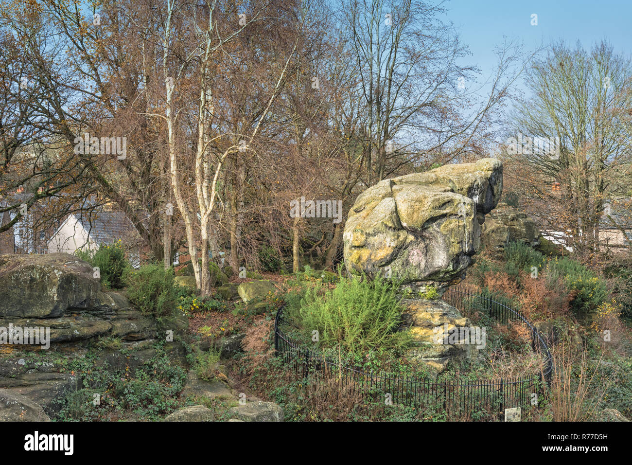Toad Rock in Tunbridge Wells Stock Photo Alamy