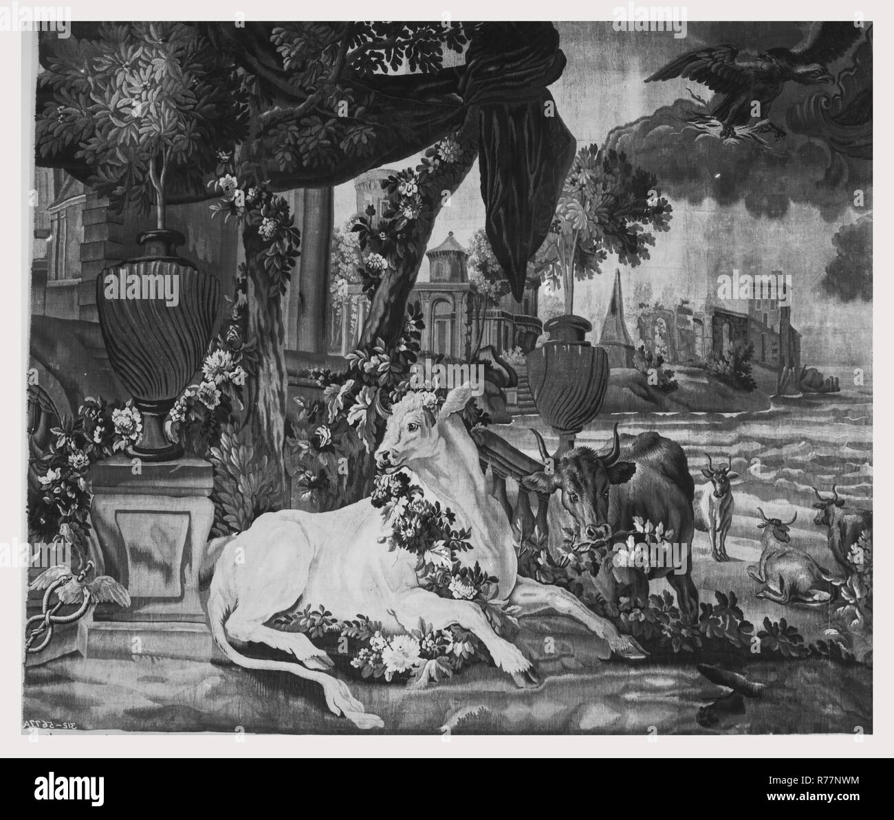 Bull zeus hi-res stock photography and images - Alamy