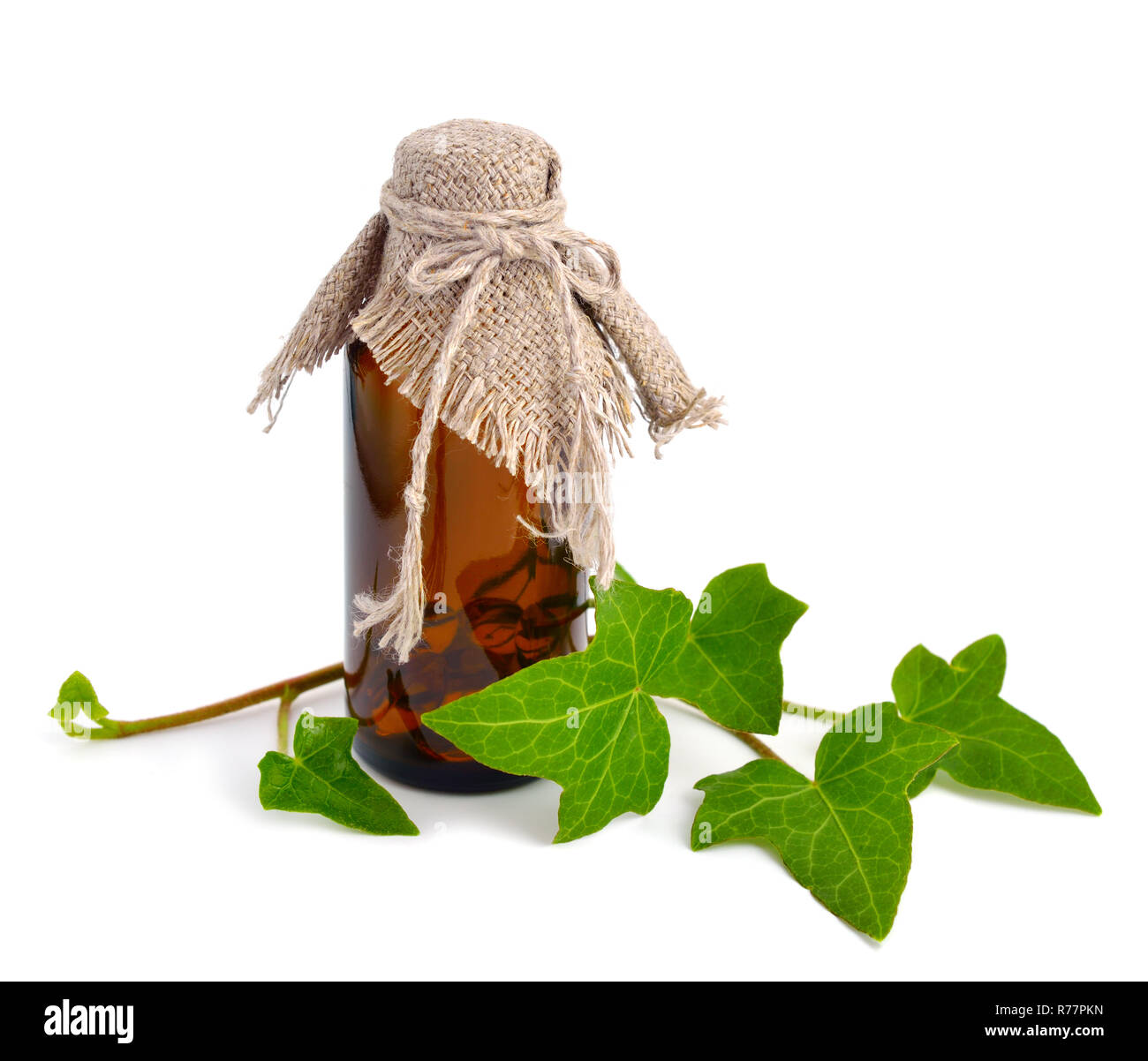 Hedera with a pharmaceutical bottle isolated on white background. Stock Photo