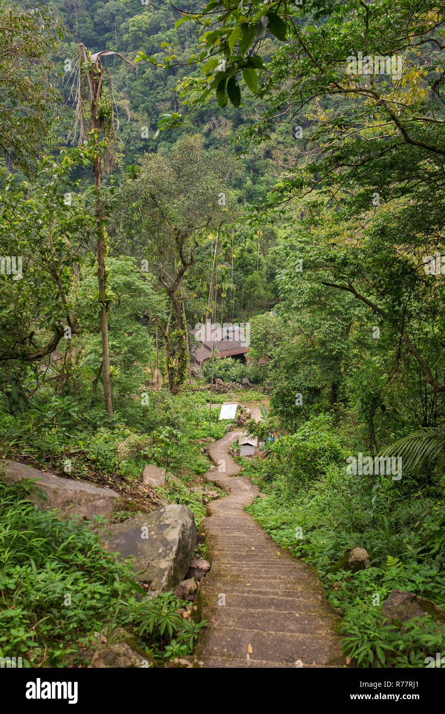 Staircase down the hill in a tropical forest. Way to Nongriat village with famous living root bridges in Meghalaya state, India Stock Photo