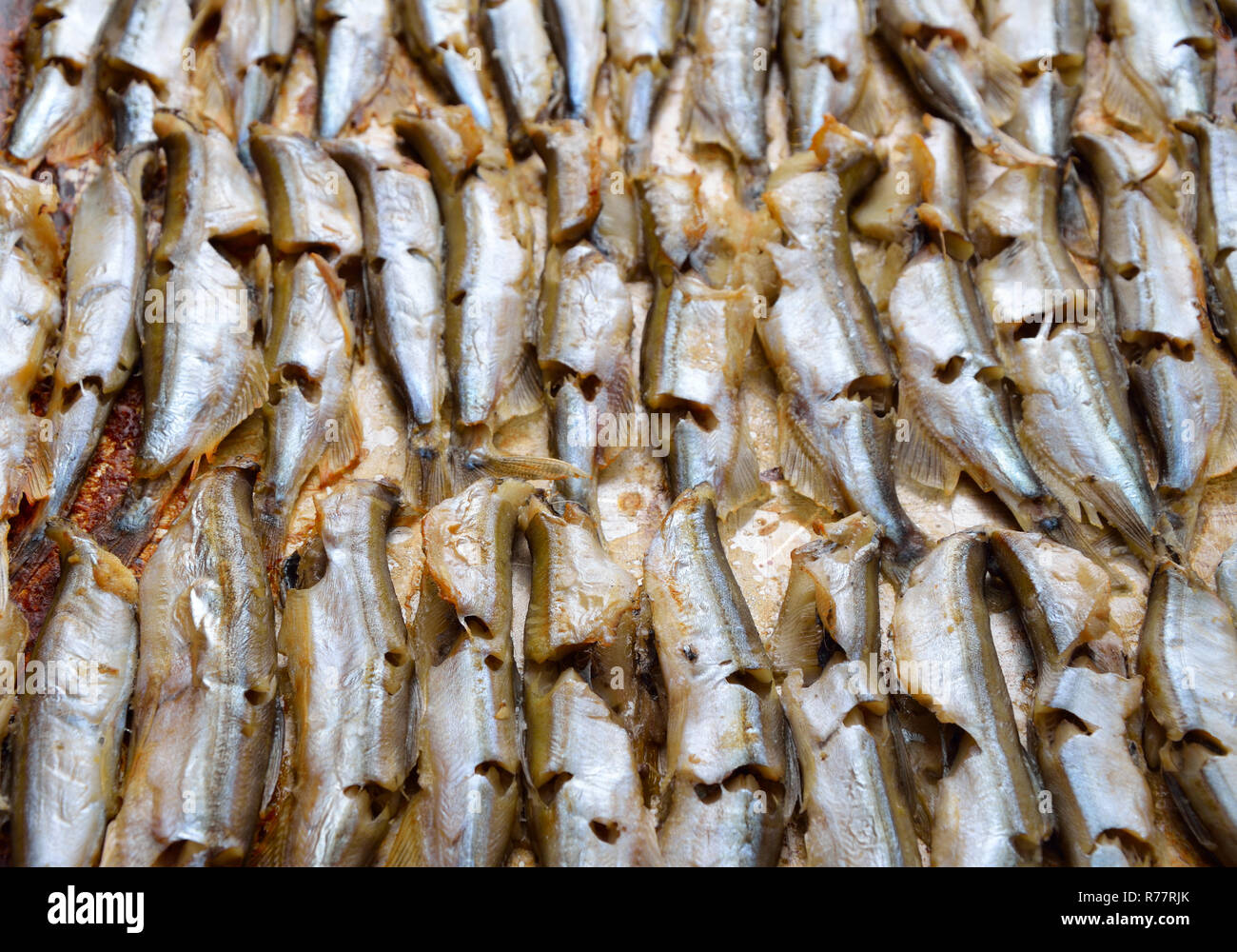 Capelin sea hi-res stock photography and images - Alamy