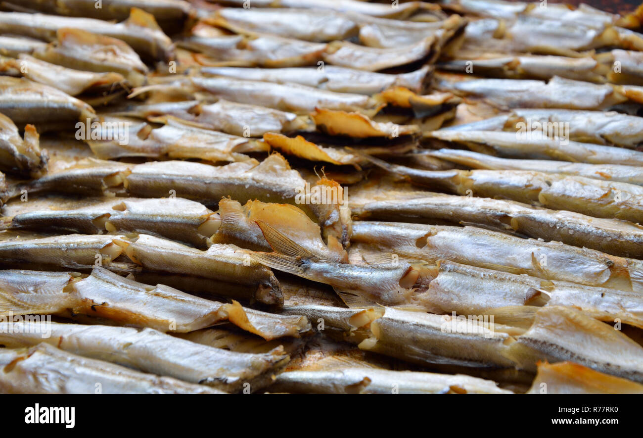 Capelin sea hi-res stock photography and images - Alamy