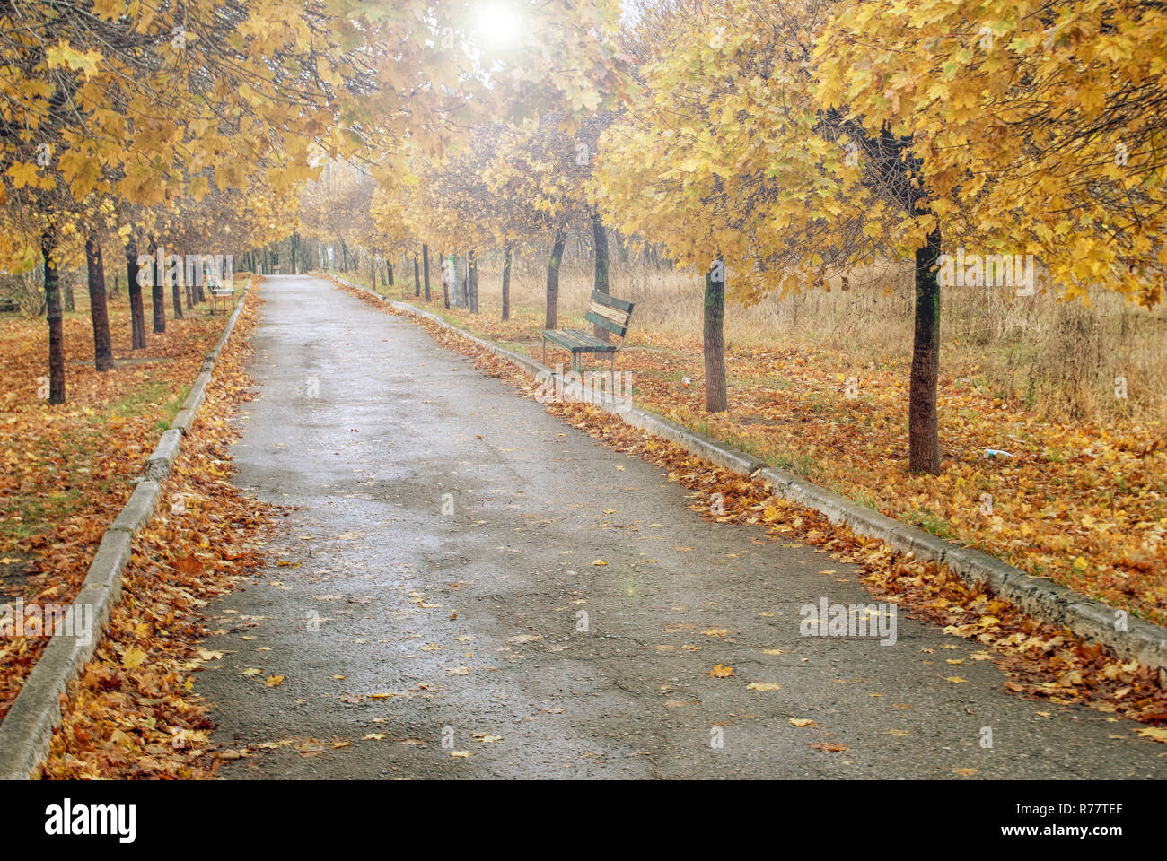 Bench in alley hi-res stock photography and images - Alamy