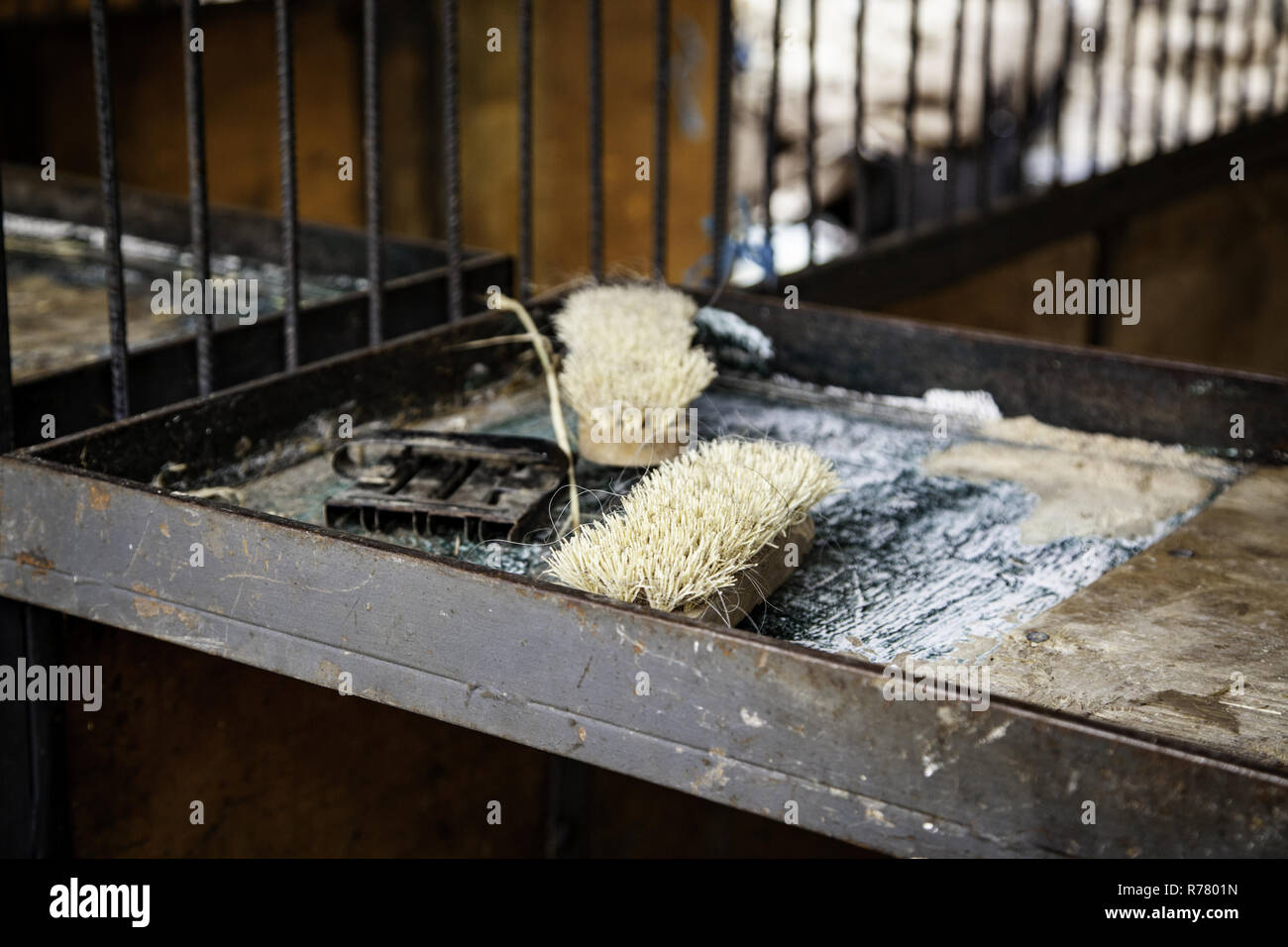 Brushes for horses, cleaning detail and animal grooming Stock Photo Alamy
