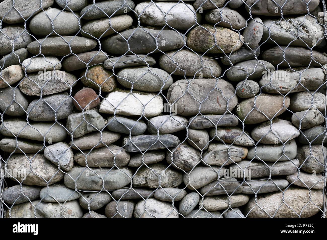 round gray stones are laid in gabion. background or texture of masonry