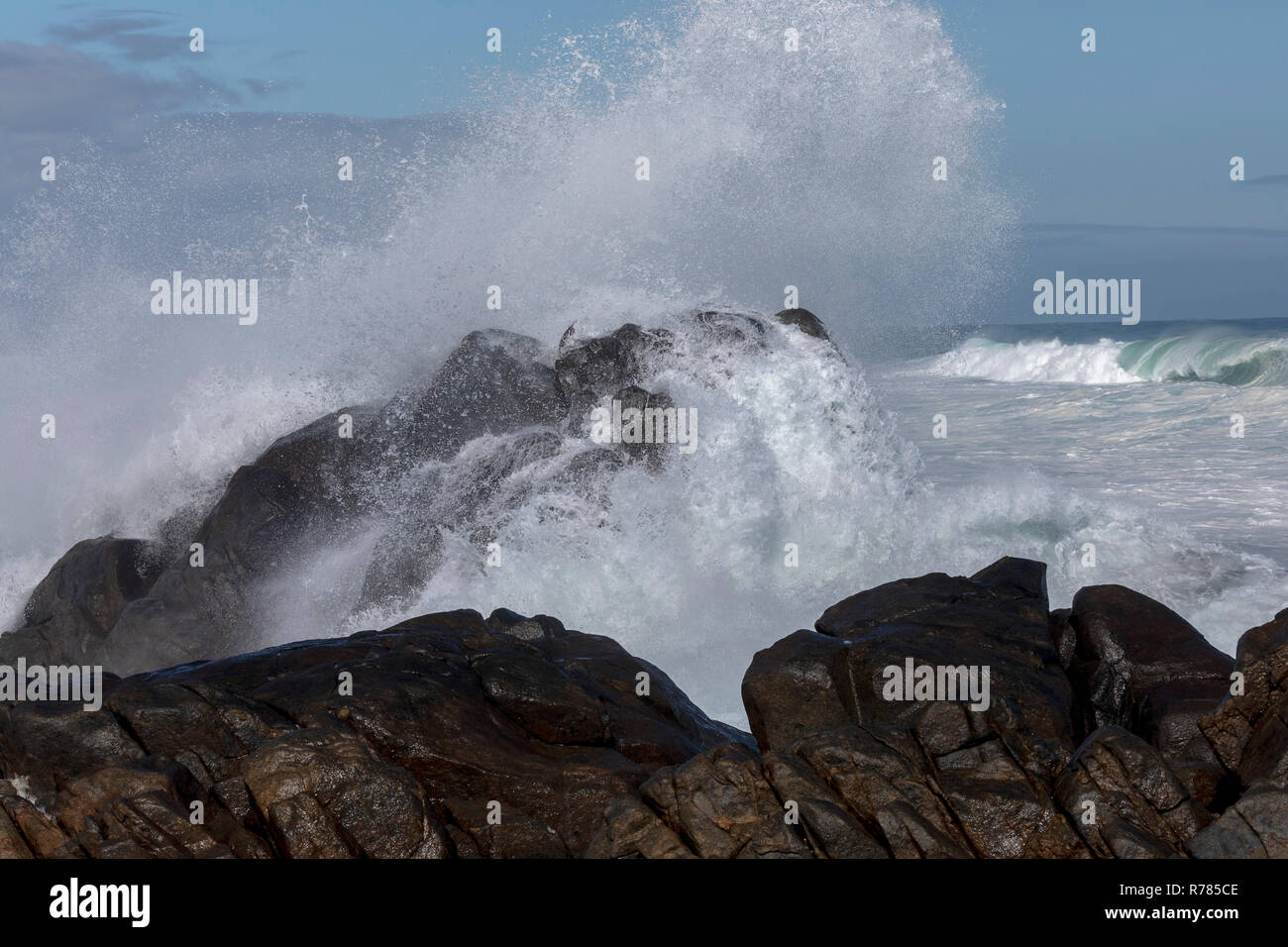 Atlantic surf and breakers off the coast of the Postberg Reserve, West Coast National Park, South Africa. Stock Photo