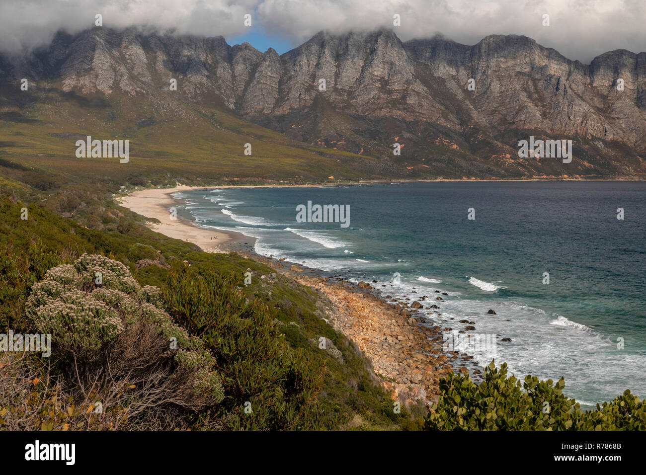 Fynbos in Kogel Bay, and the Kogelberg Biosphere Reserve, Kogelberg Mountain Range, east of Cape Town, South Africa Stock Photo