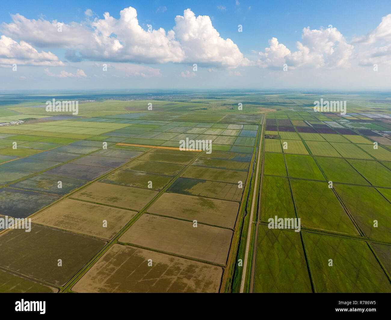 The rice fields are flooded with water. Flooded rice paddies. Agronomic ...
