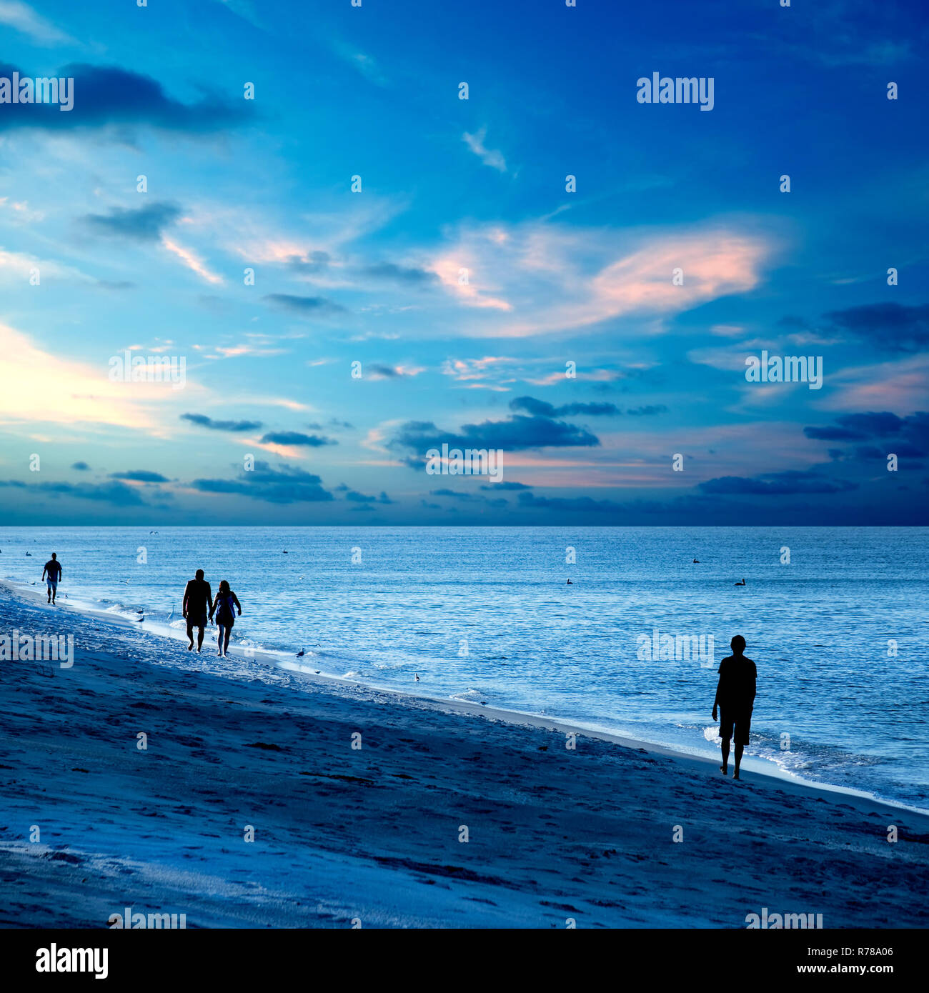 people at the beach Stock Photo - Alamy