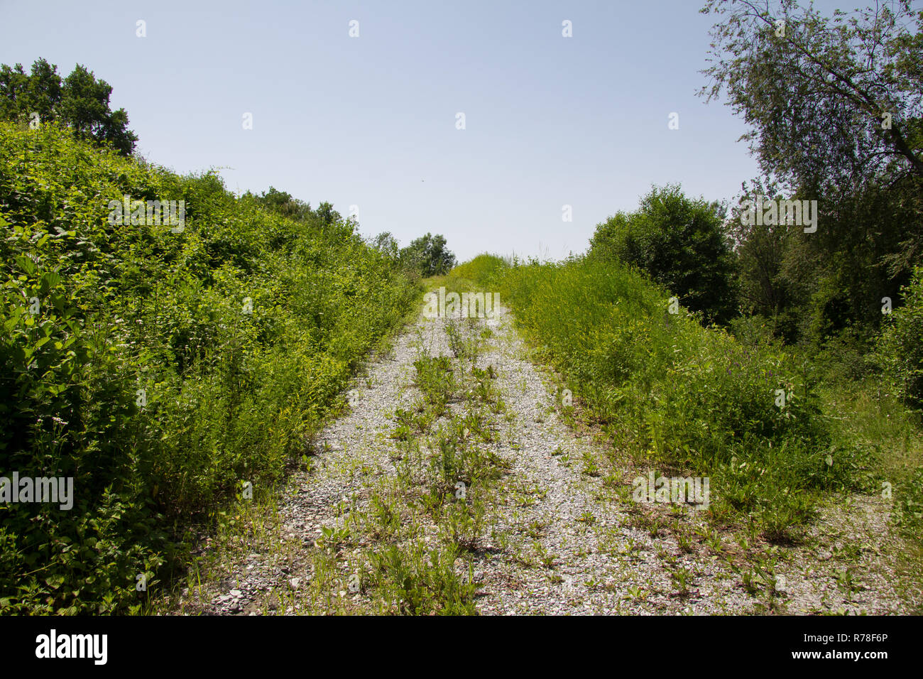 rising partially overgrown straight gravel road without a vehicle in spring at the day Stock Photo