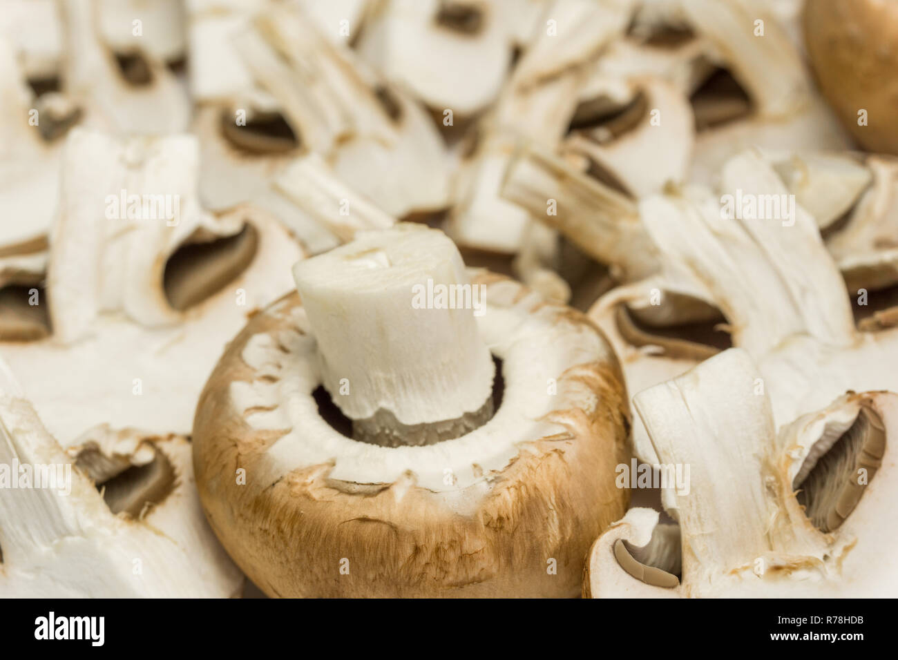 Close-up of Edible brown Mushrooms. Stock Photo